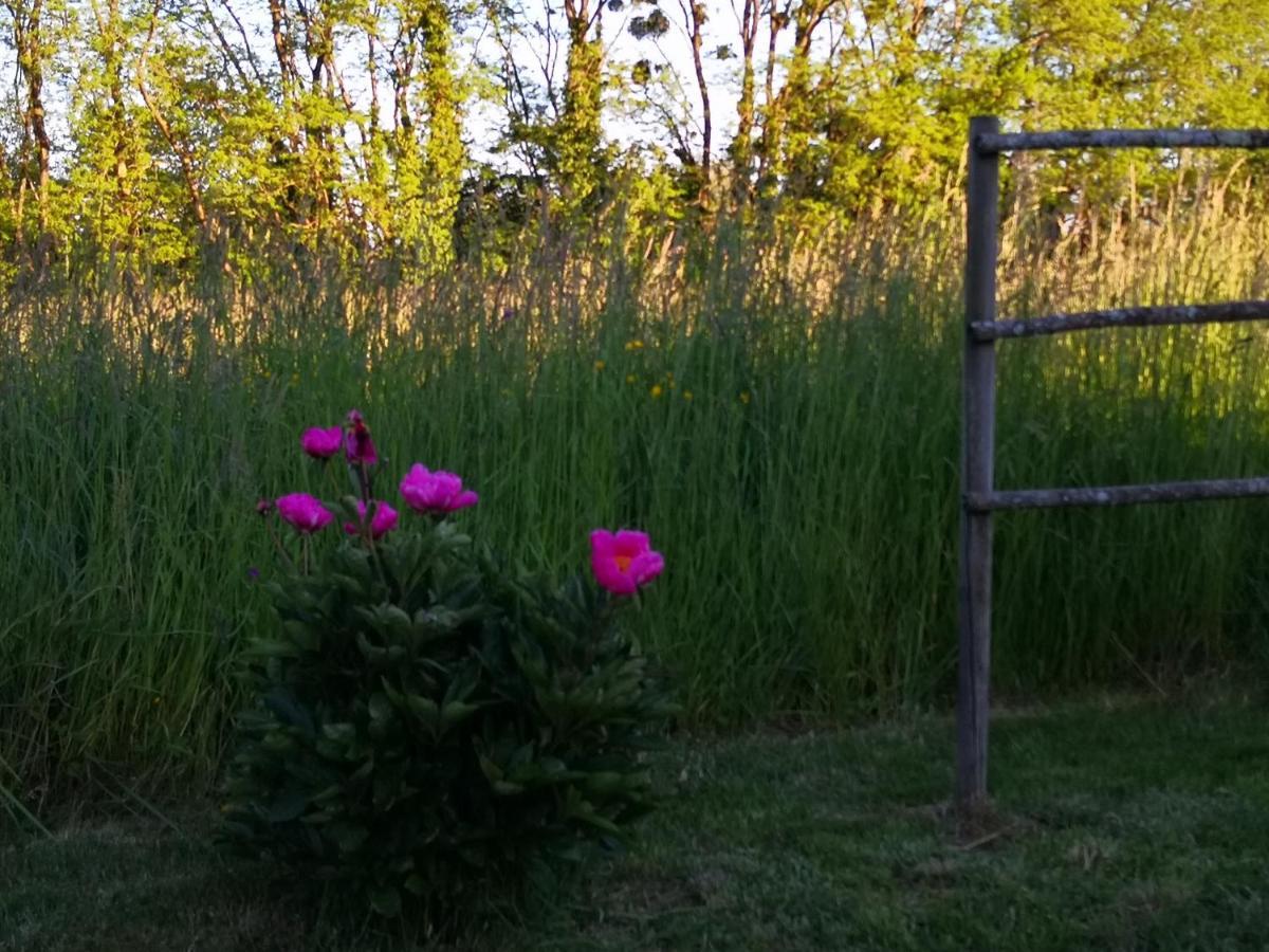 De La Ferme De La Terve Holiday home Bruailles